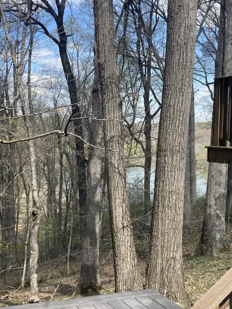 The Hoosier Lake House  - Image 1