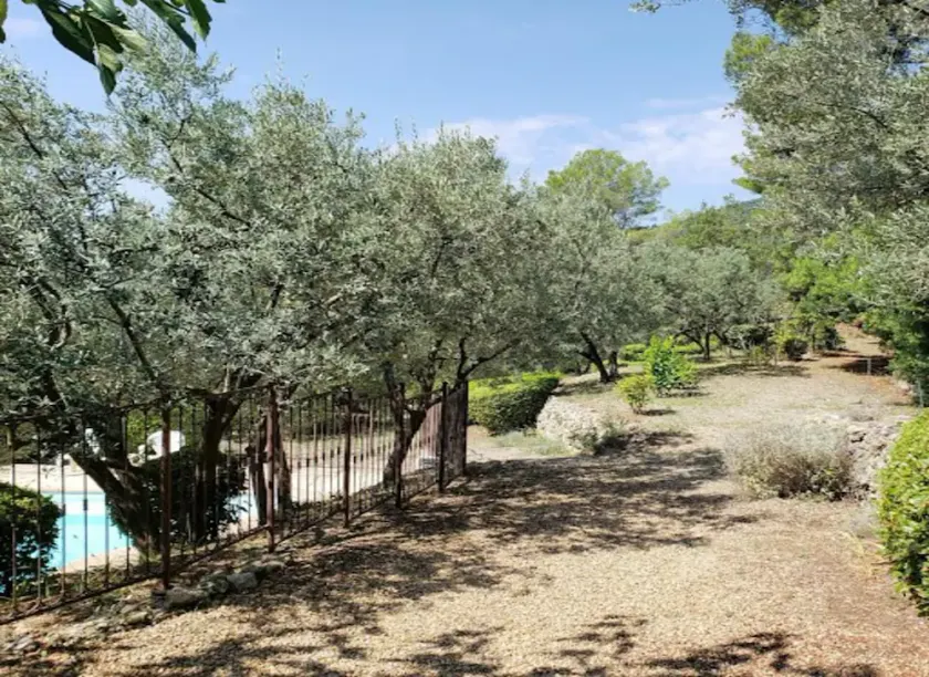Comfortable provencal villa with great views, pool, garden, AC & 60+ olive trees - Image 1