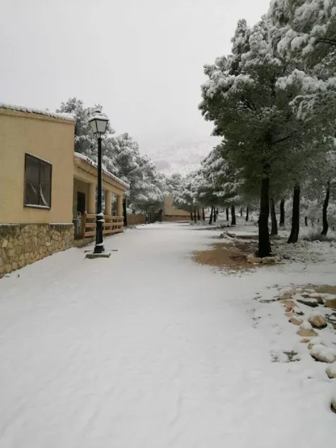 Casa Rural Pinar del Rey - Image 1