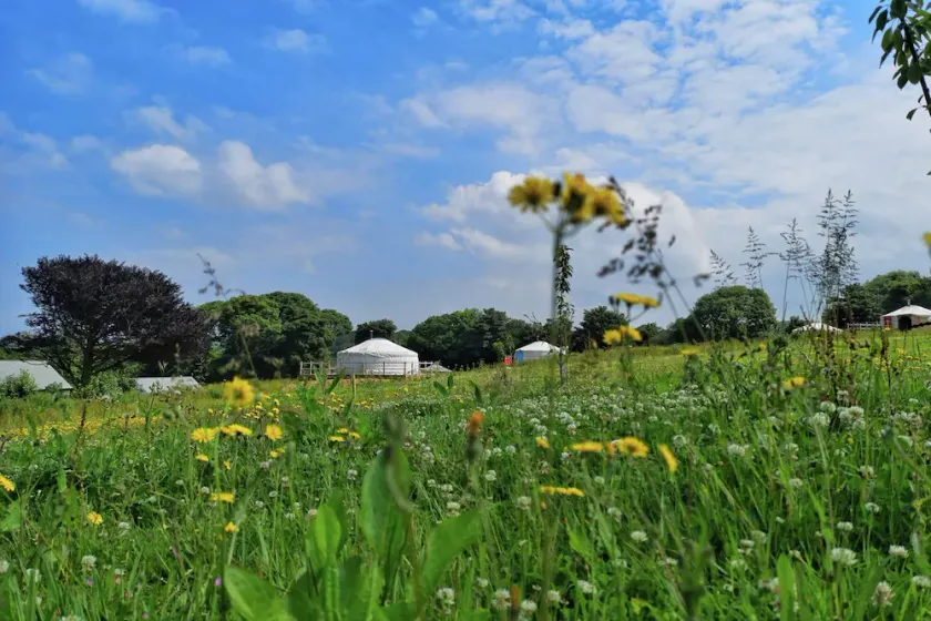 Carved Yurt - A luxury Mongolian-inspired Yurt in stunning 62 acre eco-friendly estate - Image 1