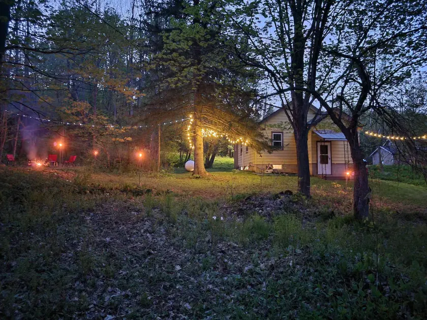 Cabin on 25 Acres of Forest - Image 1