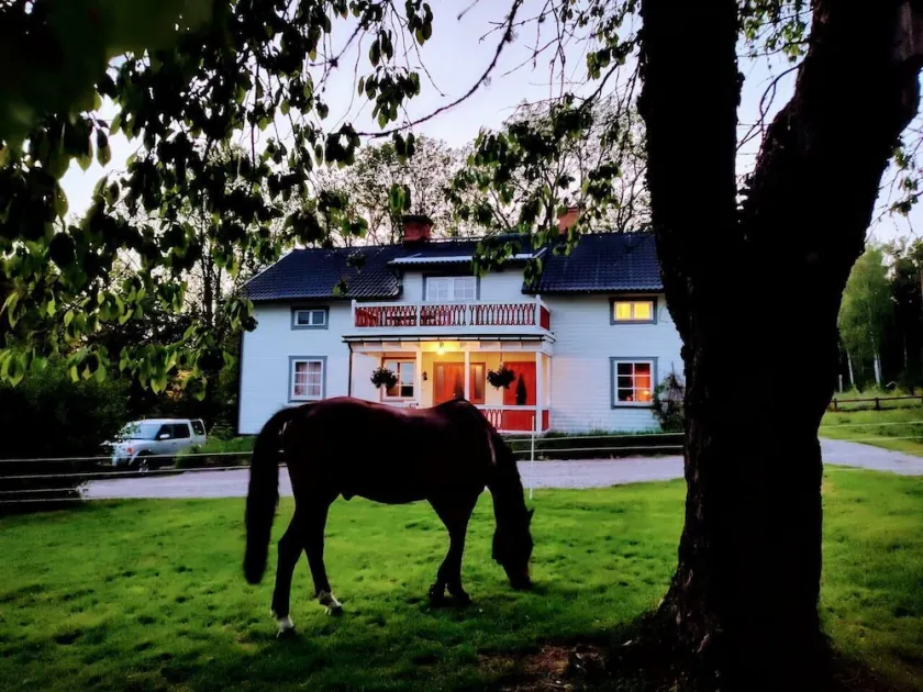 Charming 6 bedroom House & Horse Farm - Sleeps 12 - Image 1