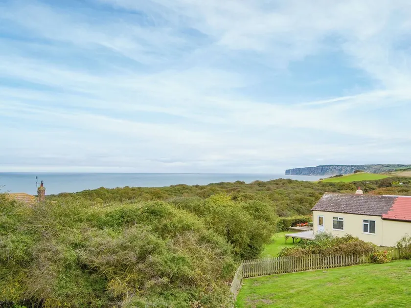 Sunny Crest - UK34724 - Image 1