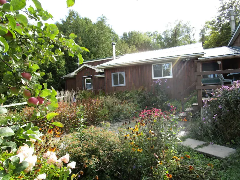 Foymount Farm stay with horses, Family and pet friendly - Image 1