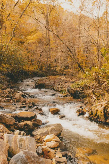 Our Little Slice of Heaven - Creekside Cabin on the Pacolet River - Image 1