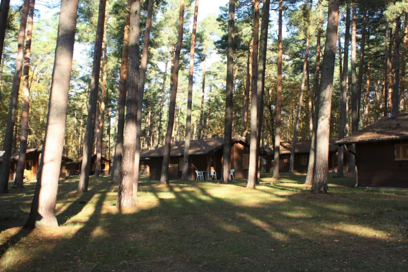 Monteurs-Bungalow mit Bad im Heide-Camp Colbitz - Image 1