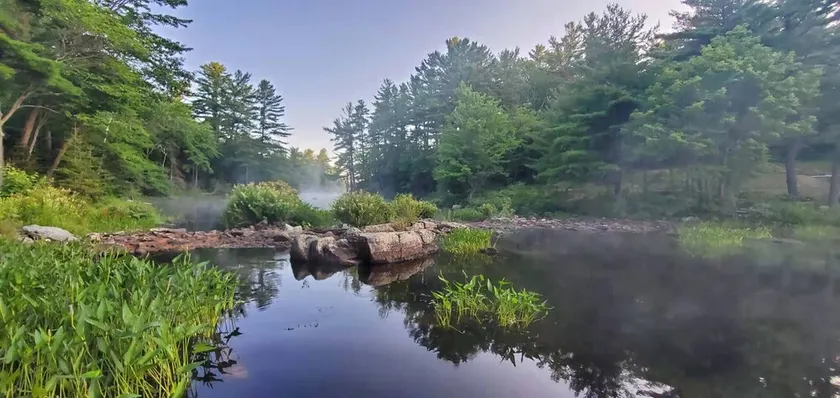 Lakefront Hideaway w/ Private Beach + Dock | Parry Sound - Image 1