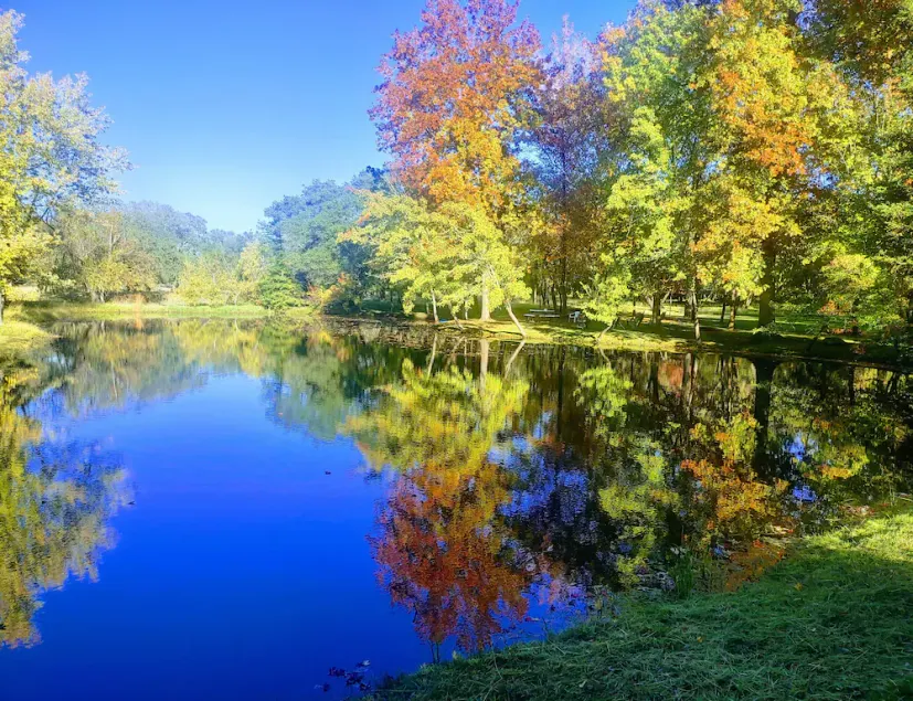 Discover Lake Farmhouse next to 100 acres - Image 1