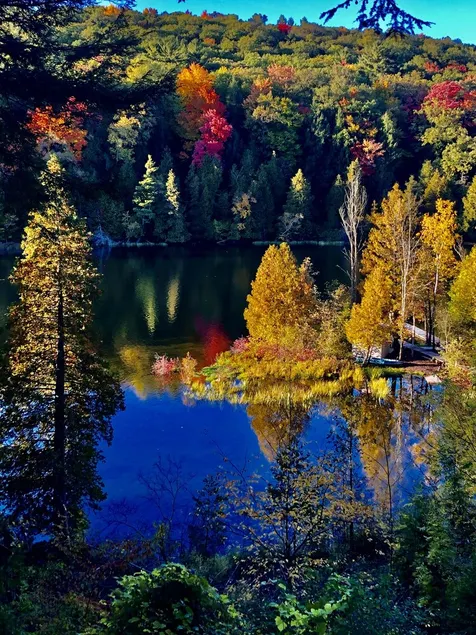 Enjoy the beautiful views of the Muskegon River near Hardy Dam and Dragon Trail - Image 1