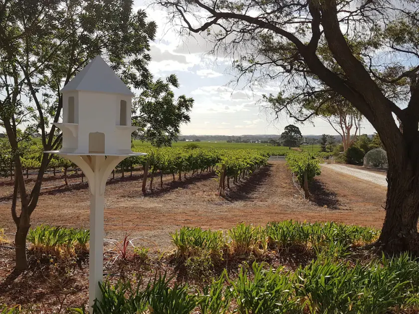 Boutique accommodation peacefully set amongst you're own private vineyard - Image 1