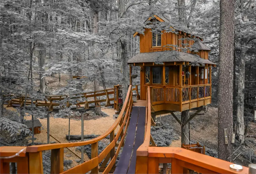 Det magiska Chez 'Tree Rest Treehouse Perched 35' ovanför skogsbotten! - Image 1