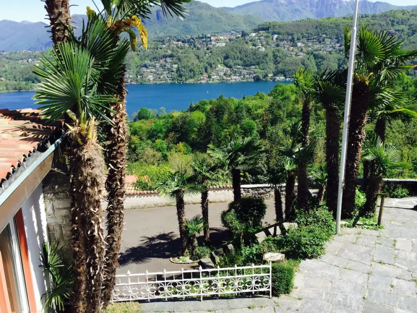 Traumhafte Aussicht auf See und Berge inmitten von Reben sehr ruhig  🌴🌴🌴🌴 - Image 1