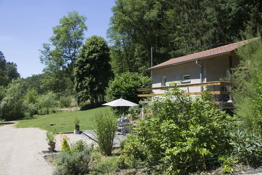 Gîte neuf ,indépendant , isolé et au calme dans un cadre forestier - Image 1