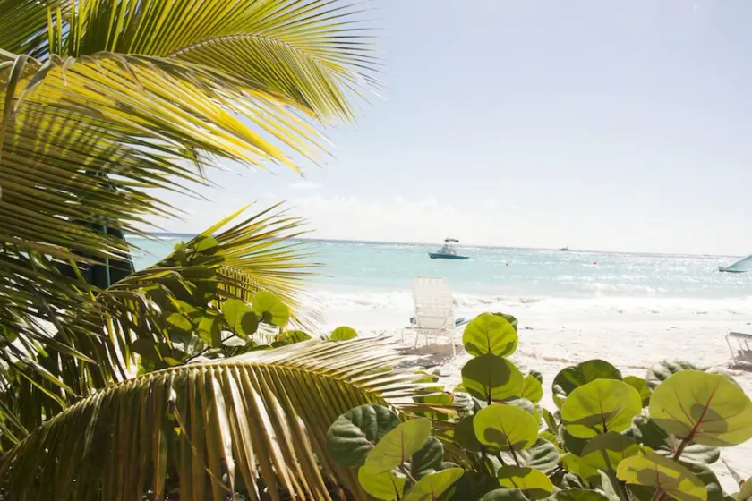 Vedanta Resort Barbados - Image 1