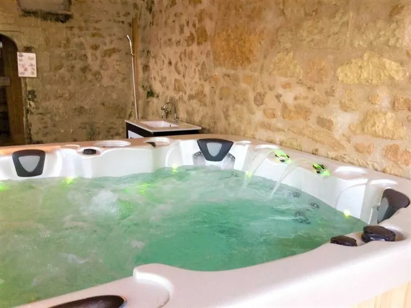 Élégante Demeure 17e avec Spa, Sauna et Authentique Cheminée, proche Châteaux de la Loire - Image 1