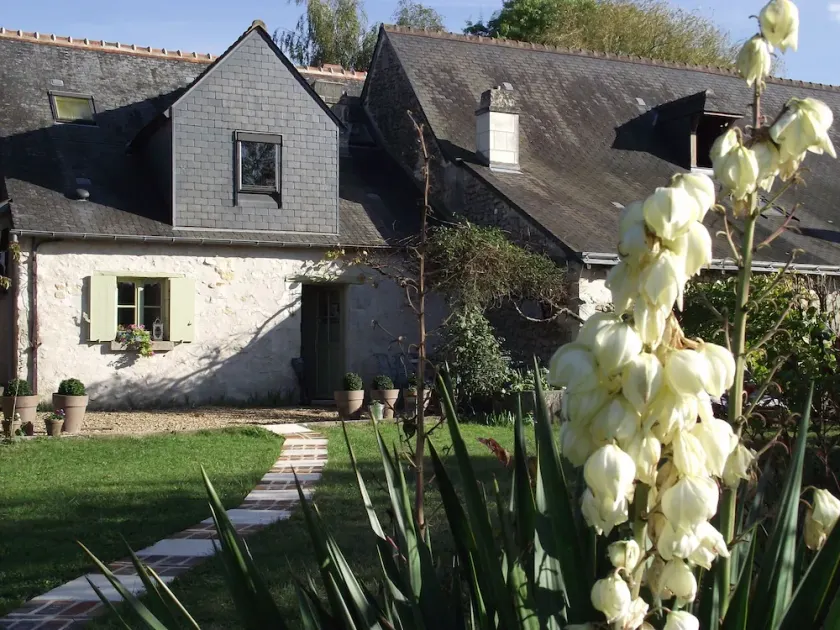 Gîte le JoliCcoin to visit the castle of Azay le rideau and its surrondings - Image 1