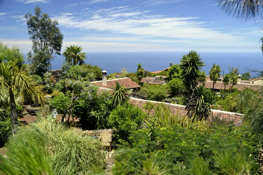Finca El Lance the green oasis in the north of Tenerife - Image 1