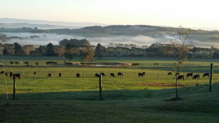 Farm Stay Holiday Accommodation Inverloch South Gippsland Dog Friendly - Image 1