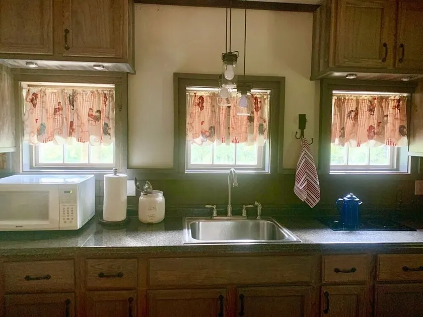 The Junebug Studio - Image 1