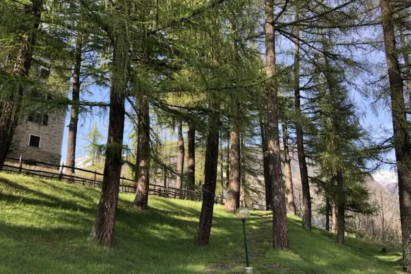 Vacanza in montagna nel verde - Image 1