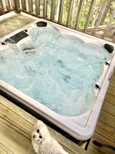 Comfort Elevated • Hot Tub • King Suite • Direct Trail Access • In Town • WiFi - Image 1