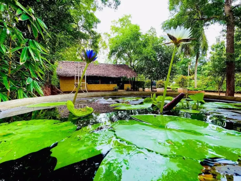 Harambathenna Resort Anuradhapura - Image 1