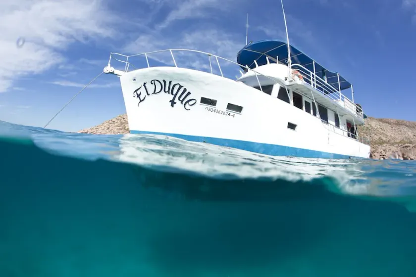 El Duque Adventures In The Sea Of Cortez And Beyond - Image 1