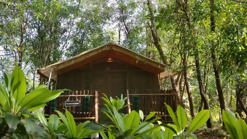 A wellness getaway in nature, for you & your pet ! - Image 1