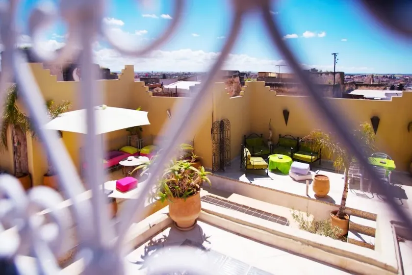Riad Safir - Image 1