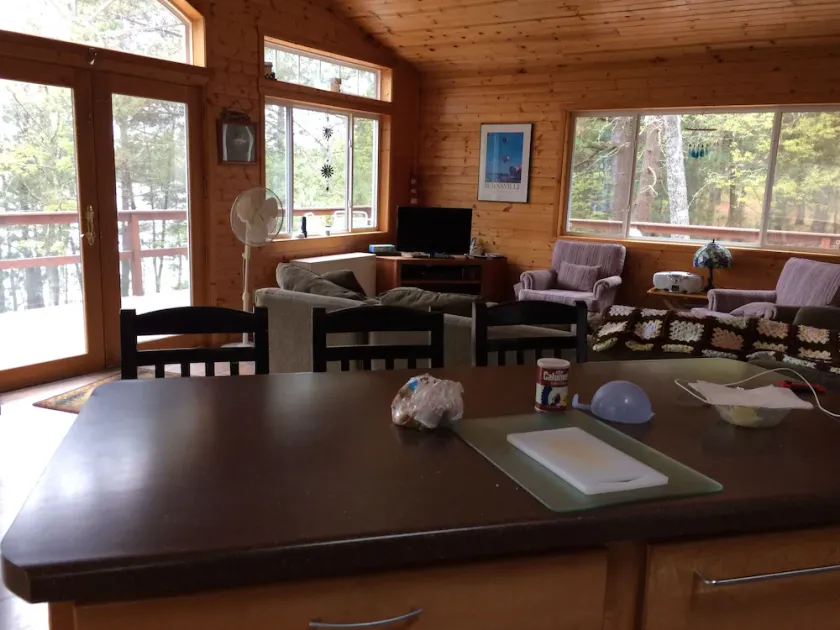 Ultimate Family Lake Experience with 18' pontoon boat - Image 1