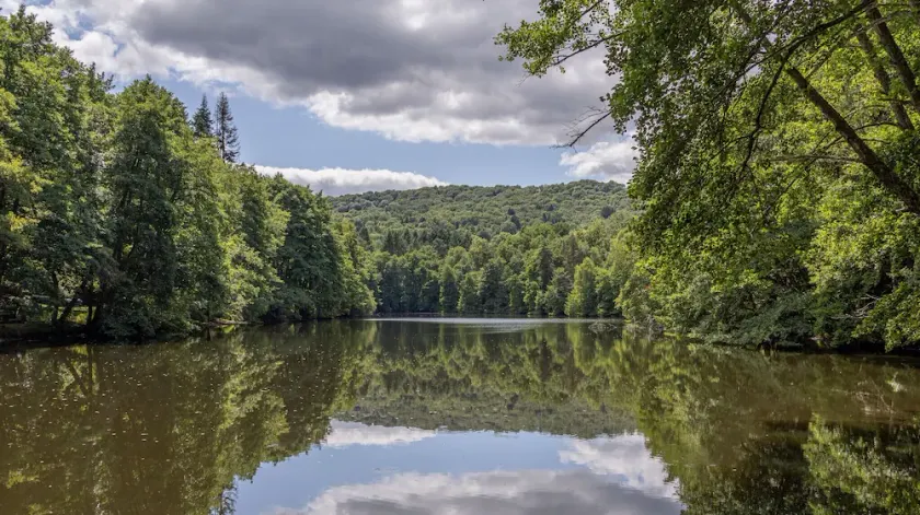 Cottage with private pond in lush greenery 35 minutes from Vulcania - Image 1