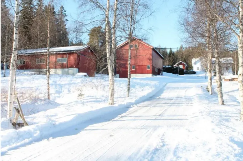 Peaceful holiday apartment on a small farm, Tørberget in Trysil - Image 1