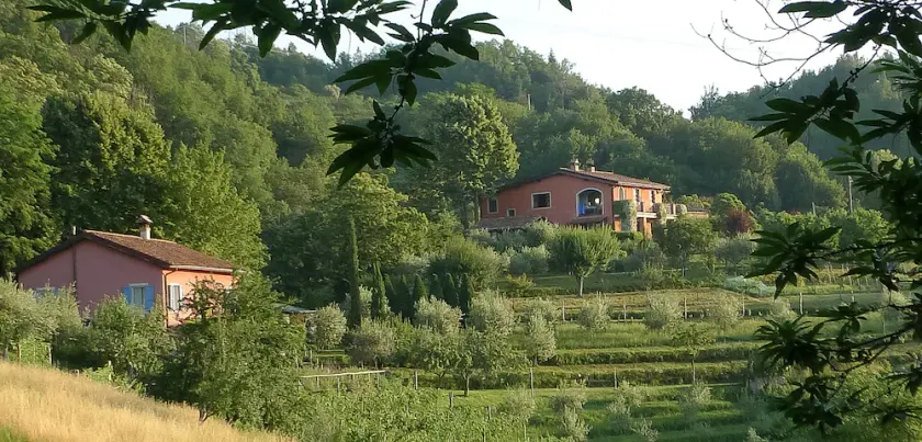 La Fattoria Farmhouse with La Stalla Apartment  (Sleeps 14, 7 Bedrooms) - Image 1