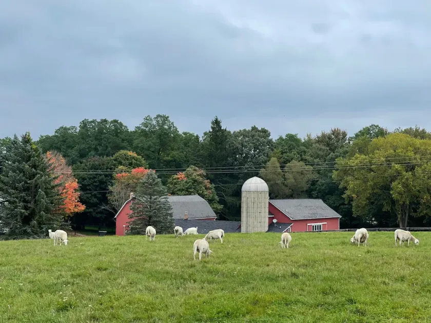 Beautifully Restored Five Bedroom 1860 Barn - Image 1