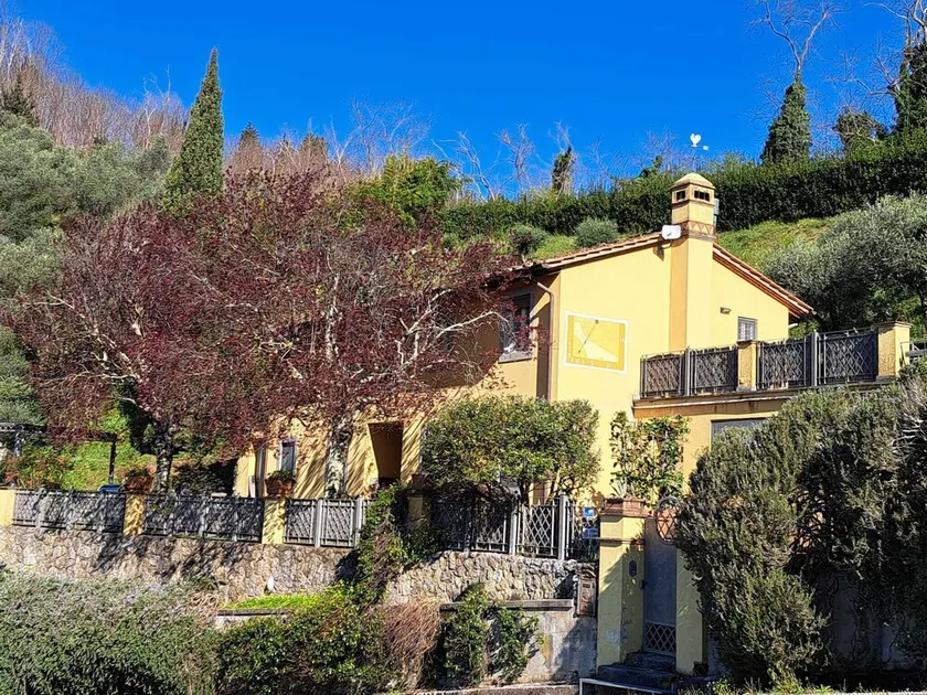 The Colletto degli Ulivi - a terrace overlooking the sea and the hills of Versilia - Image 1