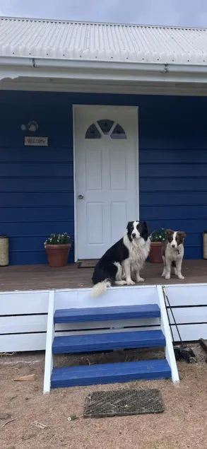 Pet friendly beach cottage in Victoria - Image 1