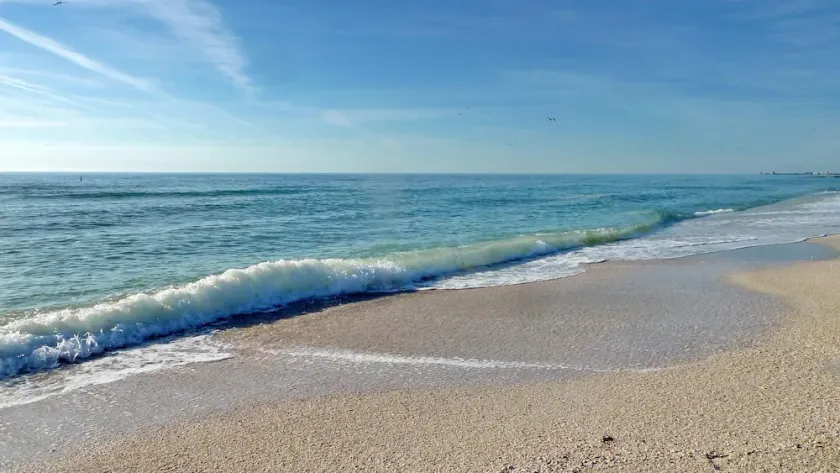 Madeira Bay Resort I 1504 - Image 1