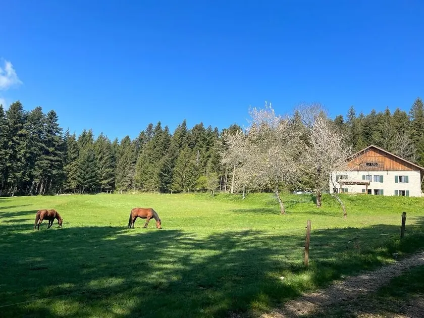 La Ferme des Brosses - Image 1