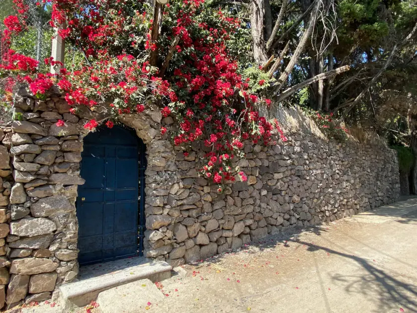 Magnolias Jardin & Boutique Suites - Image 1