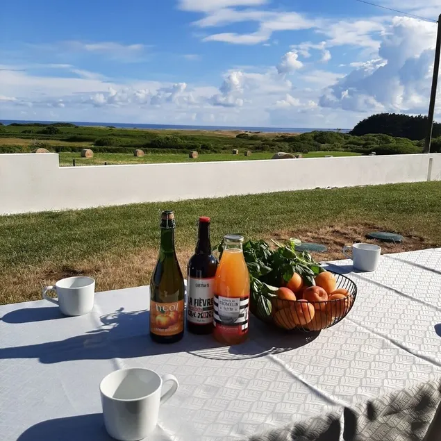 Belle villa entièrement rénovée à 400m de la plage du Ster. Vue mer - Image 1