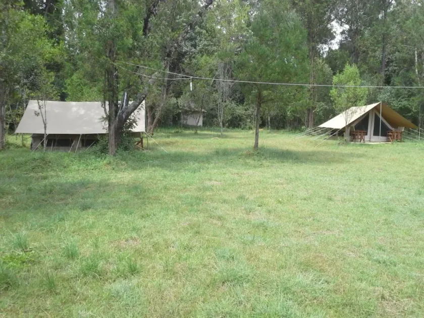 Leisure Gardens - Image 1