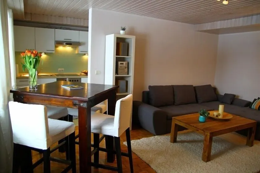 Apartamento (50 metros cuadrados), 1 dormitorio, 1 sala de estar, cocina, baño / WC, terraza - Image 1
