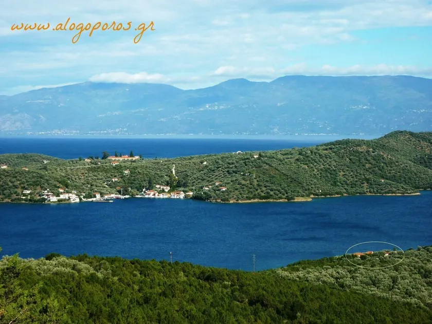 Studios - Appartments «Alogoporos» - Image 1