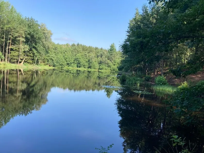 South Terrace Hässelmühle with Swimming Lake, Wi-Fi, Free Parking, Large Grounds - Image 1