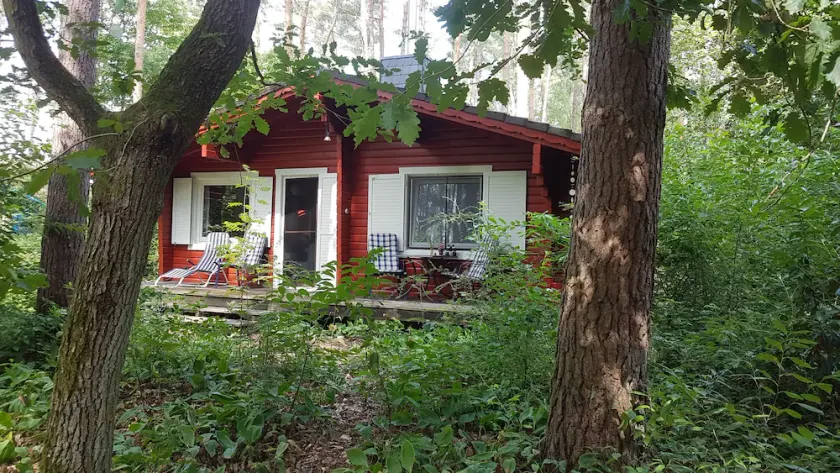 Cottage in the woods near Hitzacker / Elbe - walking and cycling from your doorstep - Image 1