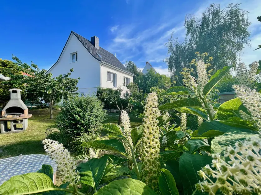 Urlaub auf der Insel Rügen in der Ferienwohnung \"lachmöwe\" - Image 1