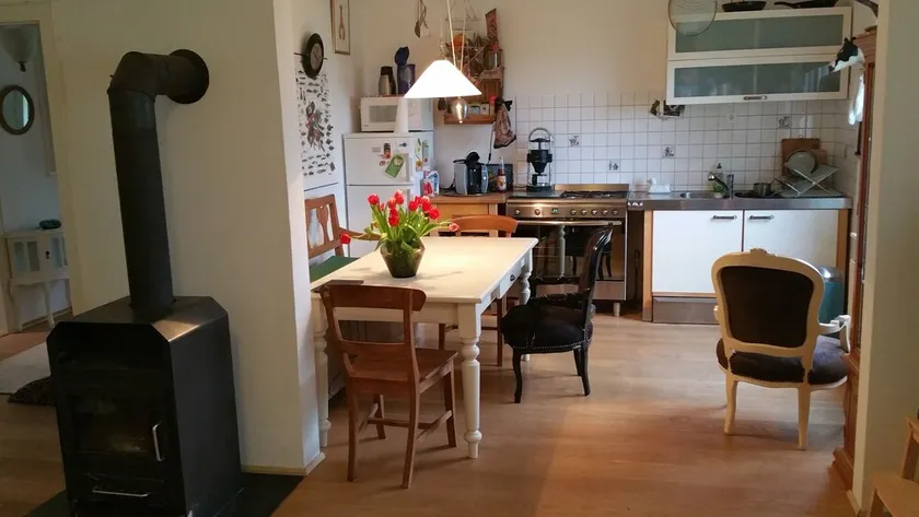 To get my head clear! Cozy cottage in Ditzum, large garden, dogs ok! - Image 1