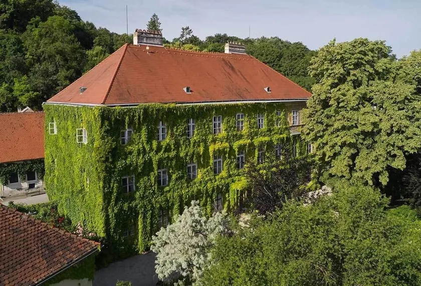 The beautiful blue at Schloss Hollenburg - Image 1