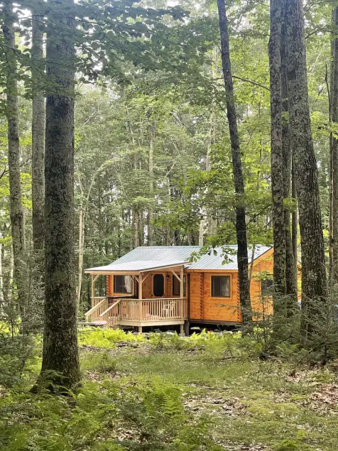 Ricketts Glen Fern View Cabin - Image 1
