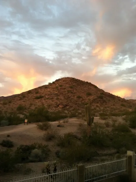 Ahwatukee Mountain View !! - Image 1